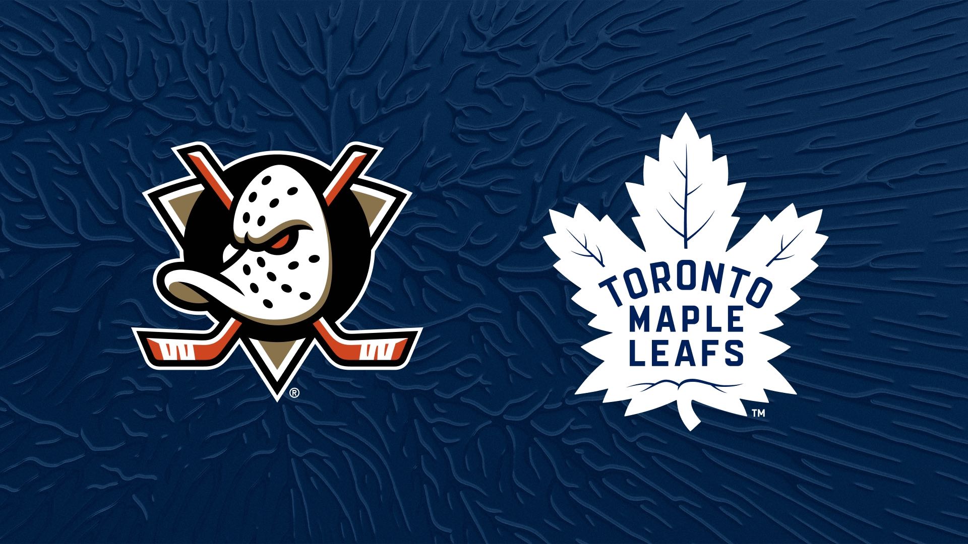 Toronto Maple Leafs vs Anaheim Ducks